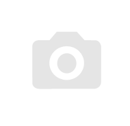 W41 Plus